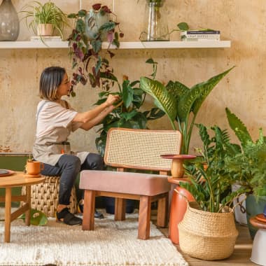 14 cursos online para aprender a decorar a casa com plantas