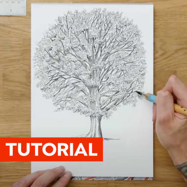 Illustration Tutorial: Wie man einen Baum mit Feder und Tinte zeichnet