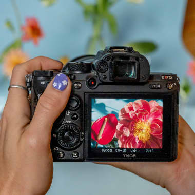 Photography Tutorial: 3 Tips for Shooting Still Life Photos at Home