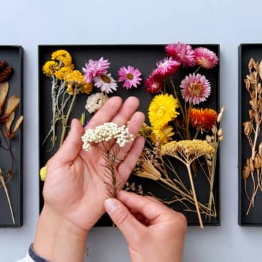Download Grátis: Guia visual de flores secas para artesanato