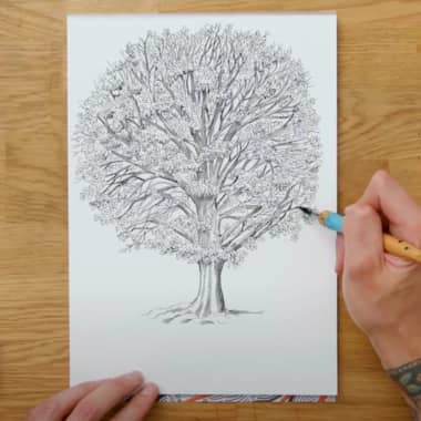Illustration Tutorial: How to Draw a Tree in Pen and Ink