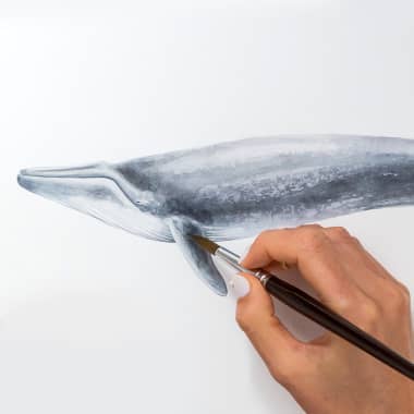 Free Illustrated Guide: How to Paint Watercolor Whales