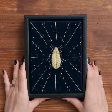 Download a Free Goldwork Beetle Pattern