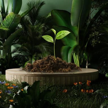 How to Decorate a Garden: 12 Inspiring Ideas