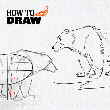 Free Drawing Tutorial: How to Draw a Bear