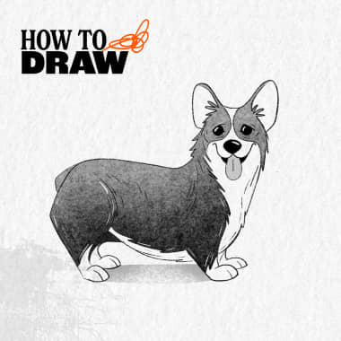 Downloadable tutorial: How to Draw a Corgi Step by Step