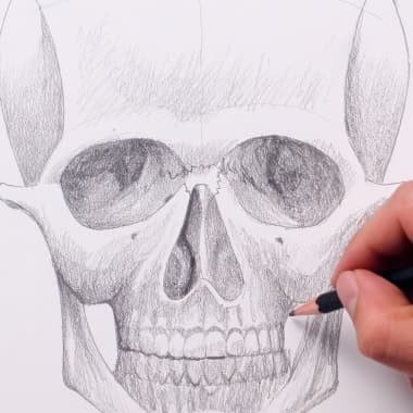  Easy Skull Drawing Ideas