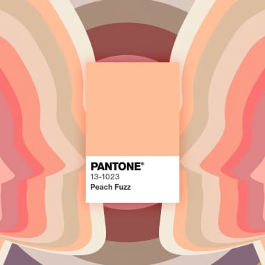 The Pantone Color of the Year 2024 Is...