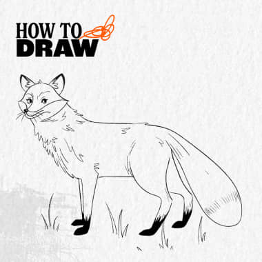 Cómo dibujar un zorro