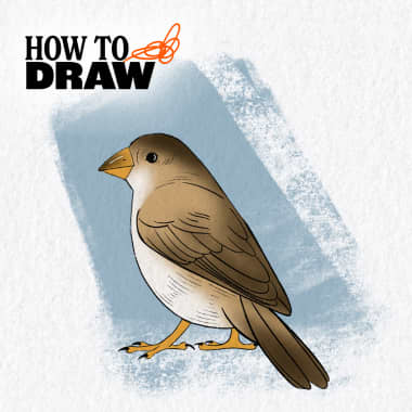 Tutorial: Cómo dibujar un pájaro (+ Descarga gratuita)