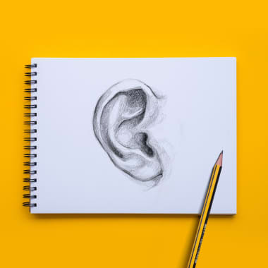 Descarga gratis: guía sobre cómo dibujar orejas