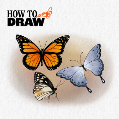 Tutorial: Cómo dibujar mariposas (+ Descarga gratuita)