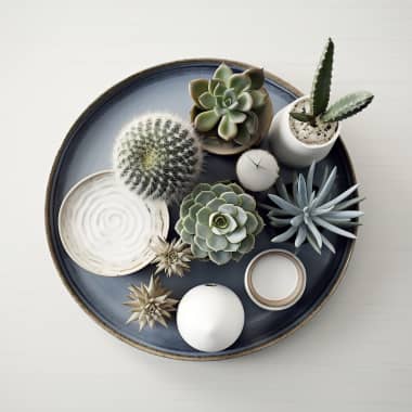 Botanical Design Tutorial: How to Design Frames with Succulents