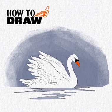 Drawing Tutorial: How to Draw a Swan (+Free Download)