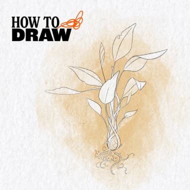 How to Draw Plants Better (+Free Download)
