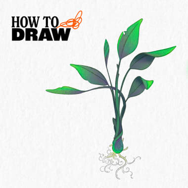 How to Color Plants: Free PDF Guide for Digital Artists