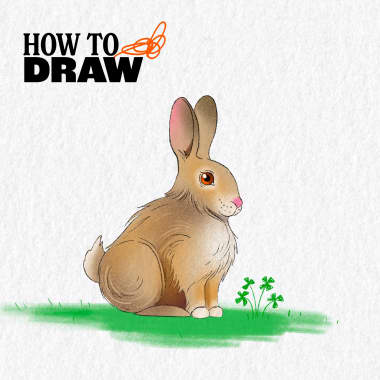 How to Draw A Rabbit (+Free Download)