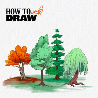 How to Color a Tree (+ Free Download)