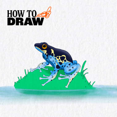 How to Draw a Frog (+Free Download)