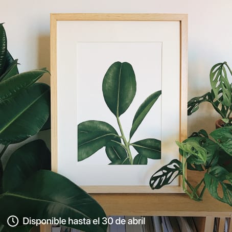 Acuarela botánica para estampados. Un curso de Ilustración de Isabela Quintes