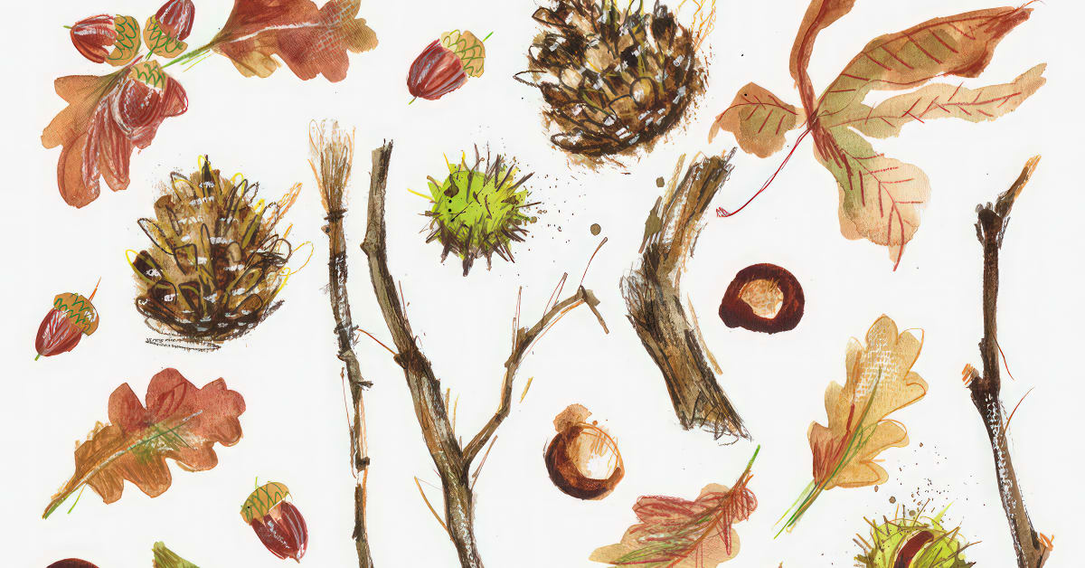 Online Course - Illustrating Nature: A Creative Exploration (Laura