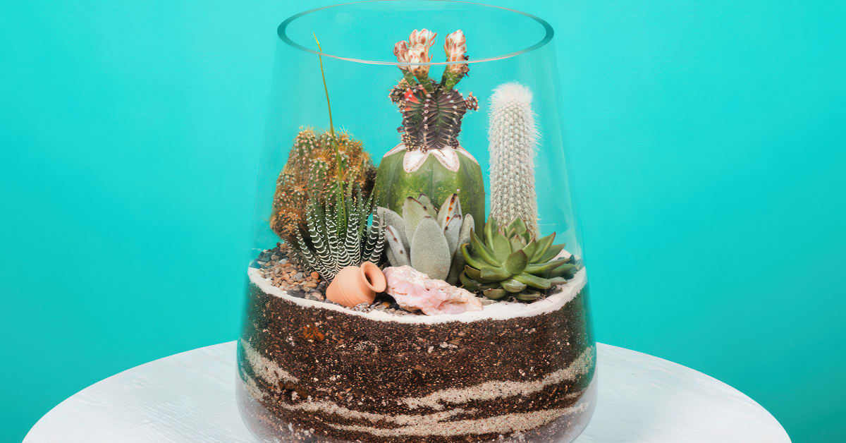 How to make Enriched TERRARIUM SOIL, GREEN LEARNINGS
