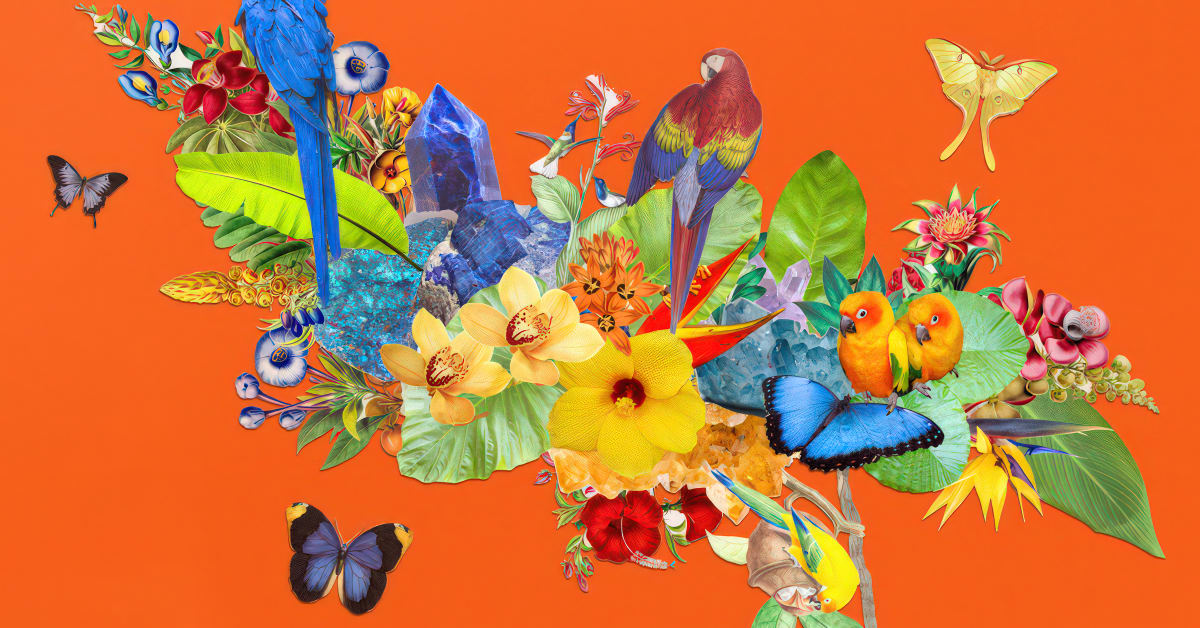 Paper Collage Murals: Create Nature-Inspired Wall Art