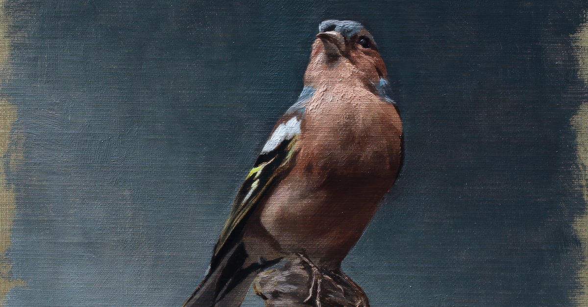 Classical Oil Painting for Naturalist Bird Portraiture
