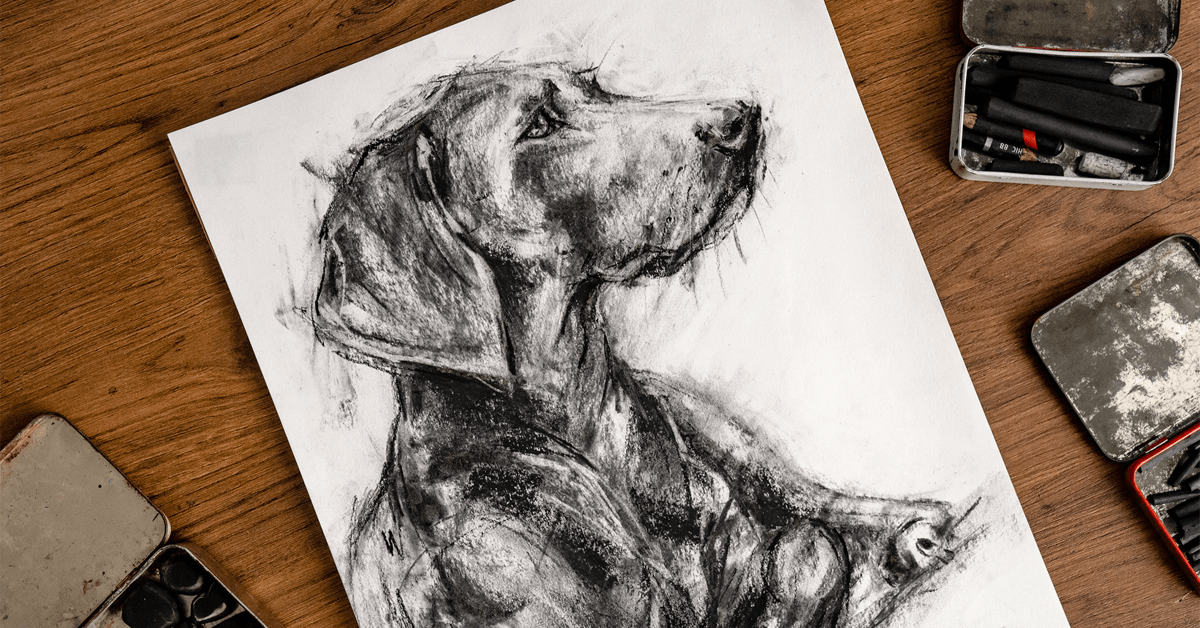 Animal Illustration with Charcoal and Ink