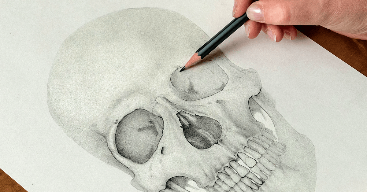 Intro to Anatomy Drawing with Graphite Pencil