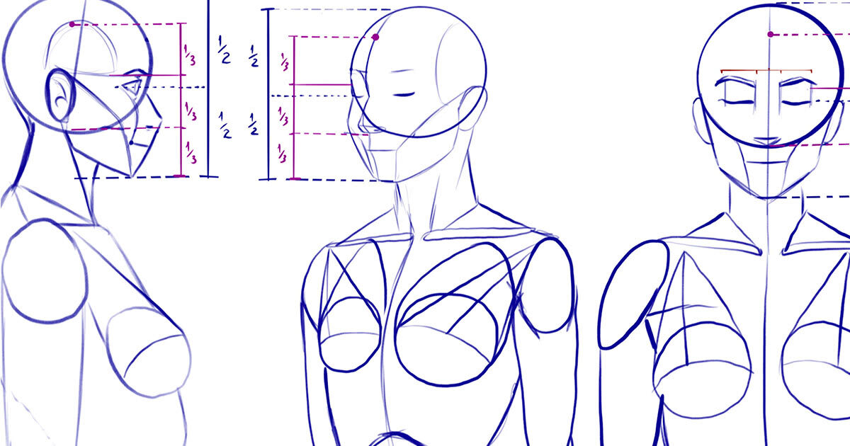 Como desenhar o rosto de perfil - Fundamentos da anatomia - Aula