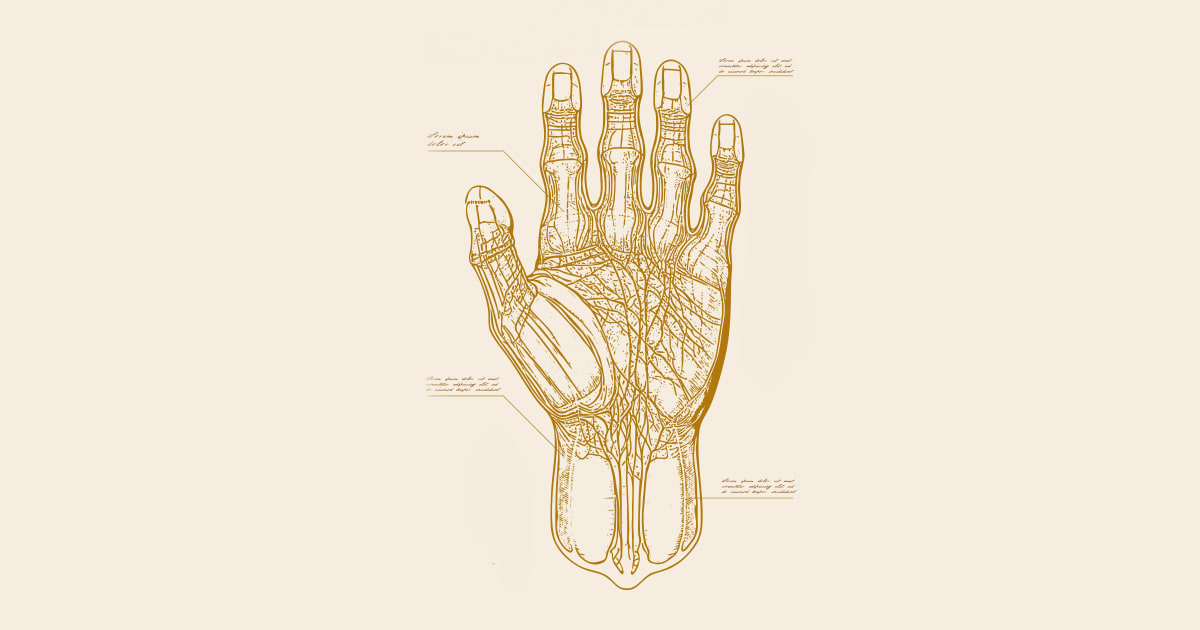 Free Download: Human Anatomy Fundamentals Biology Diagrams