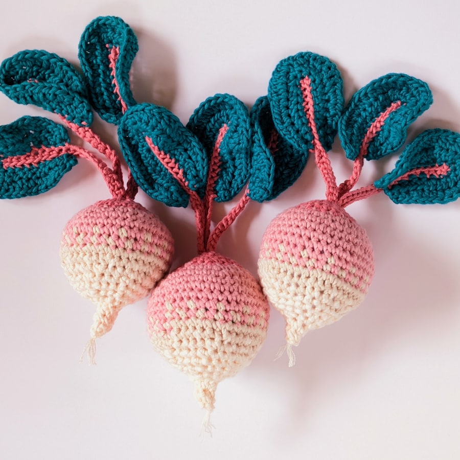 My project in Crochet for Beginners: Create Food-Inspired Amigurumi course by hclothier