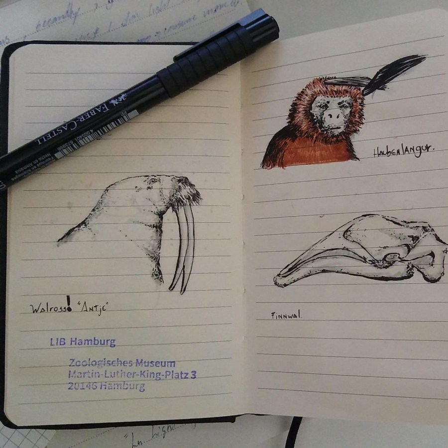 My project for course: Daily Sketching for Creative Inspiration by rlvbr