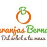Diseño logotipo Naranjas Bernabé (empresa ficticia)