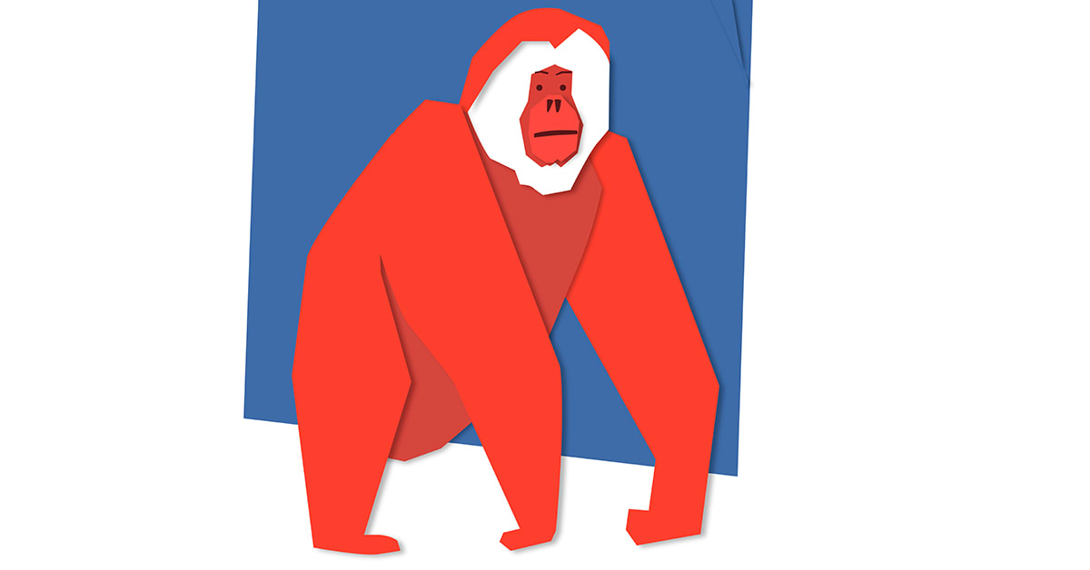 7 Ways to Simplify an Image in Visual Communication | Domestika