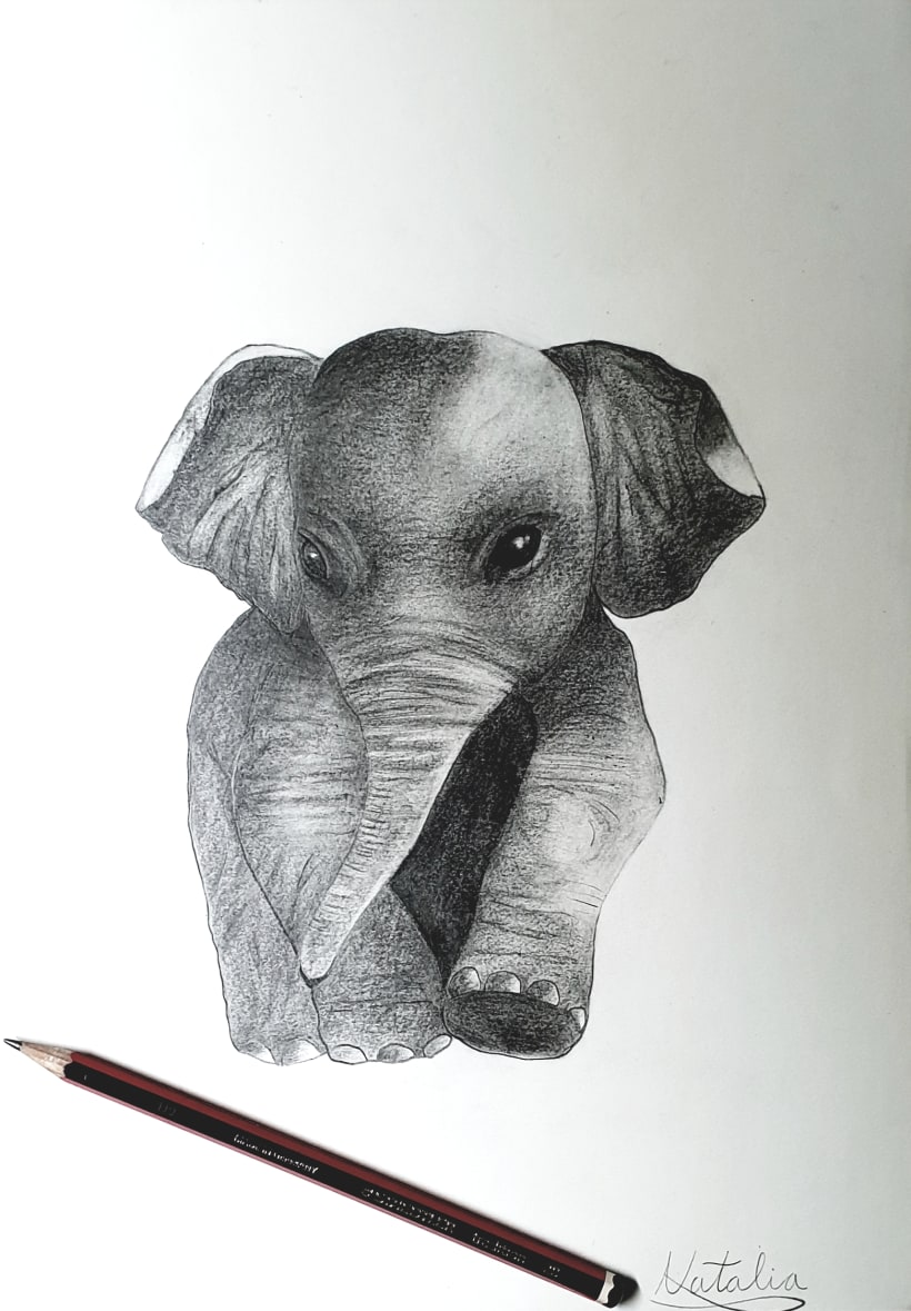 Cómo dibujar animales  Dibujonet