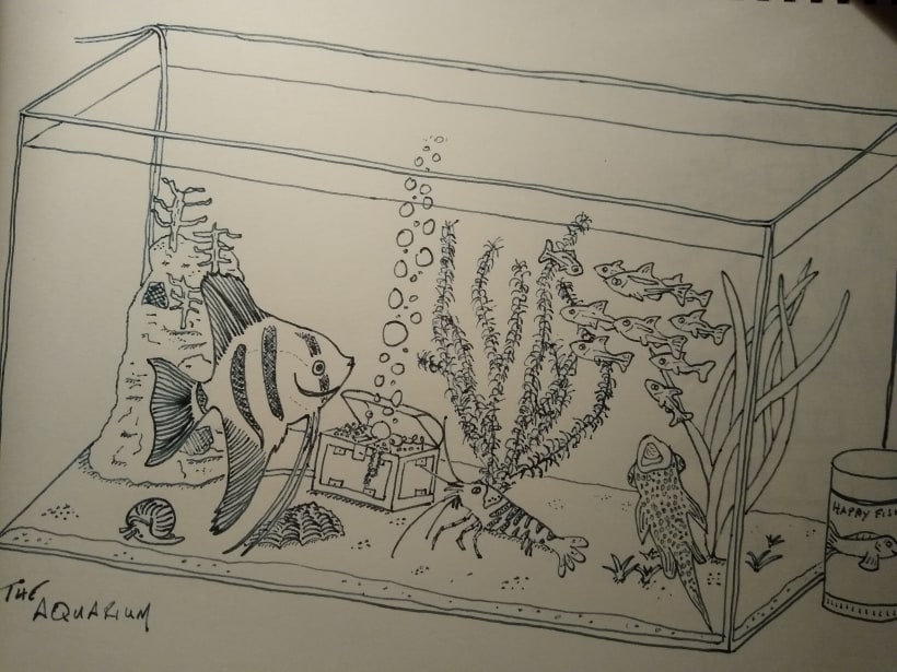 Draw an Aquarium by Diana-Huang on DeviantArt