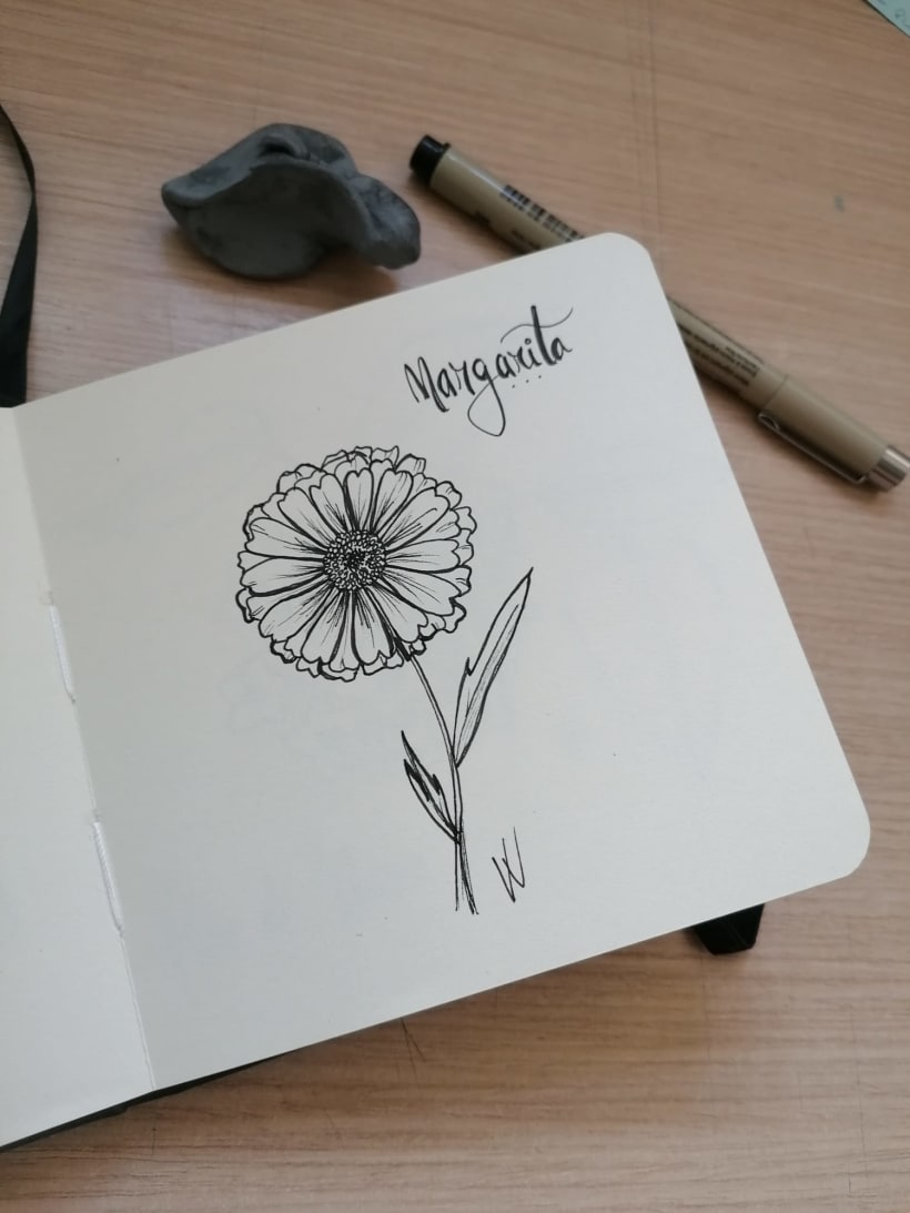 Reto Ilustración: 31 días, 31 dibujos de flores | Domestika