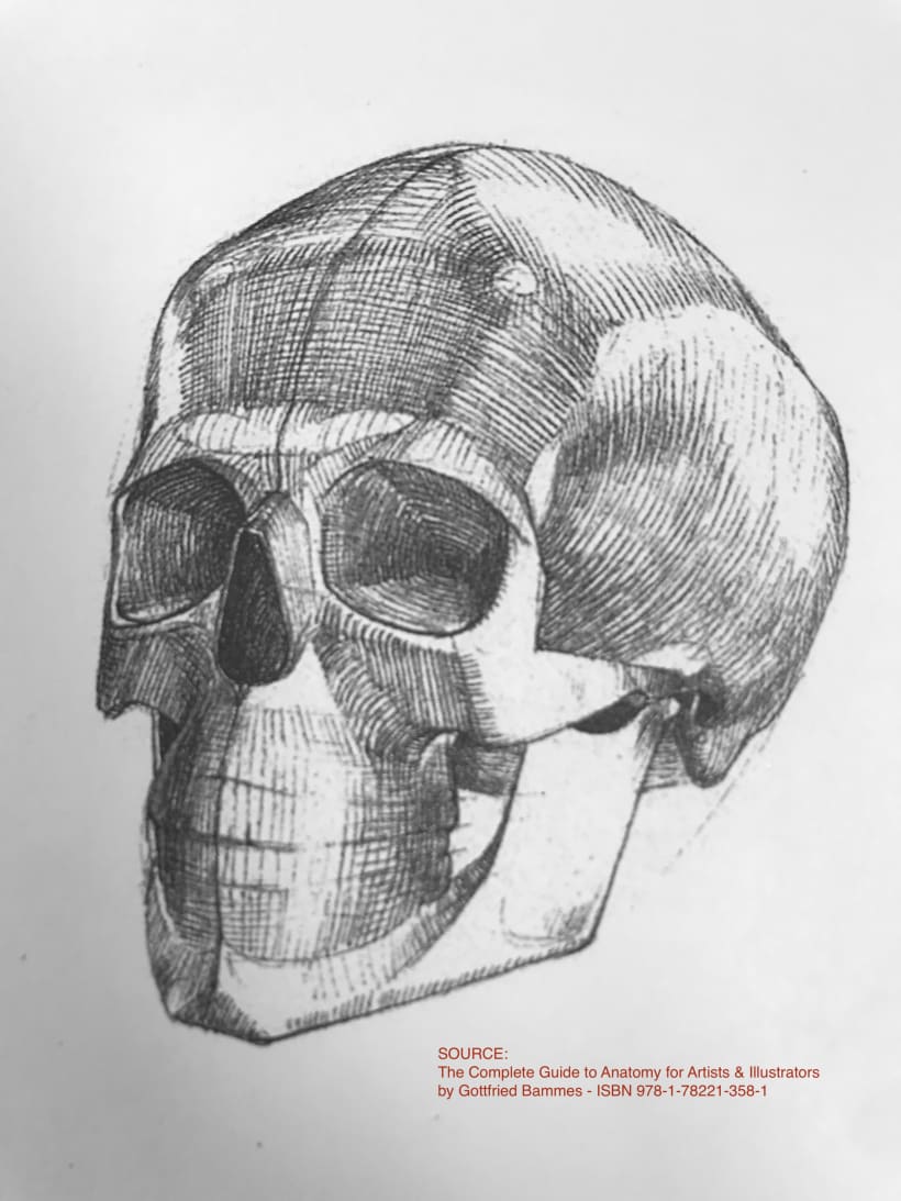 Quick graphite skull drawing during classes. #skull #graphite #drawing
