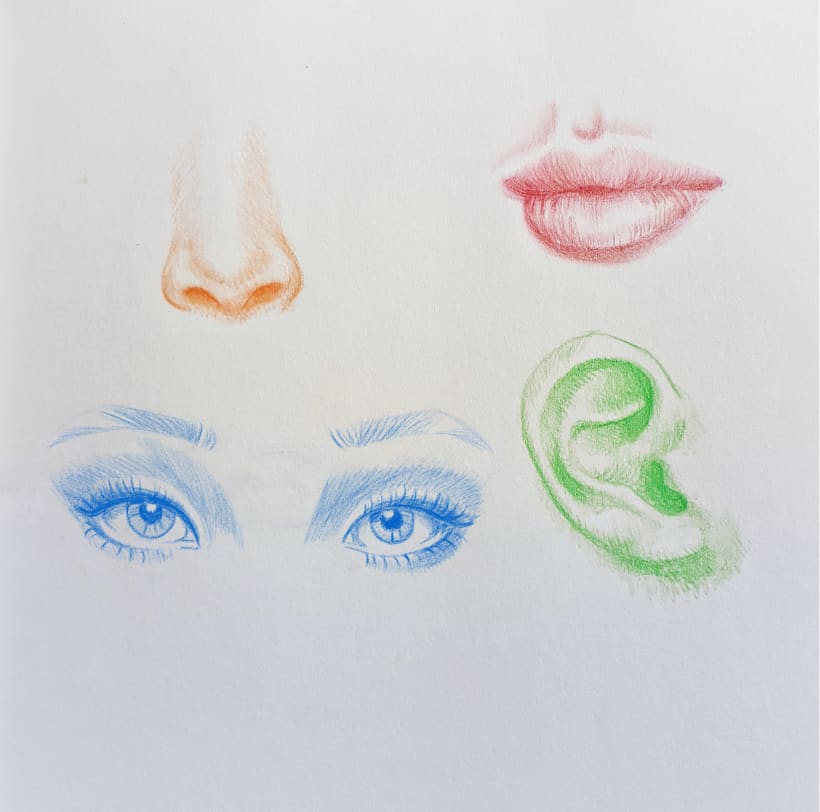 Best Deal: Vibrant Portrait Drawing with Colored Pencils by Gabriela Niko –  Course Lifetime