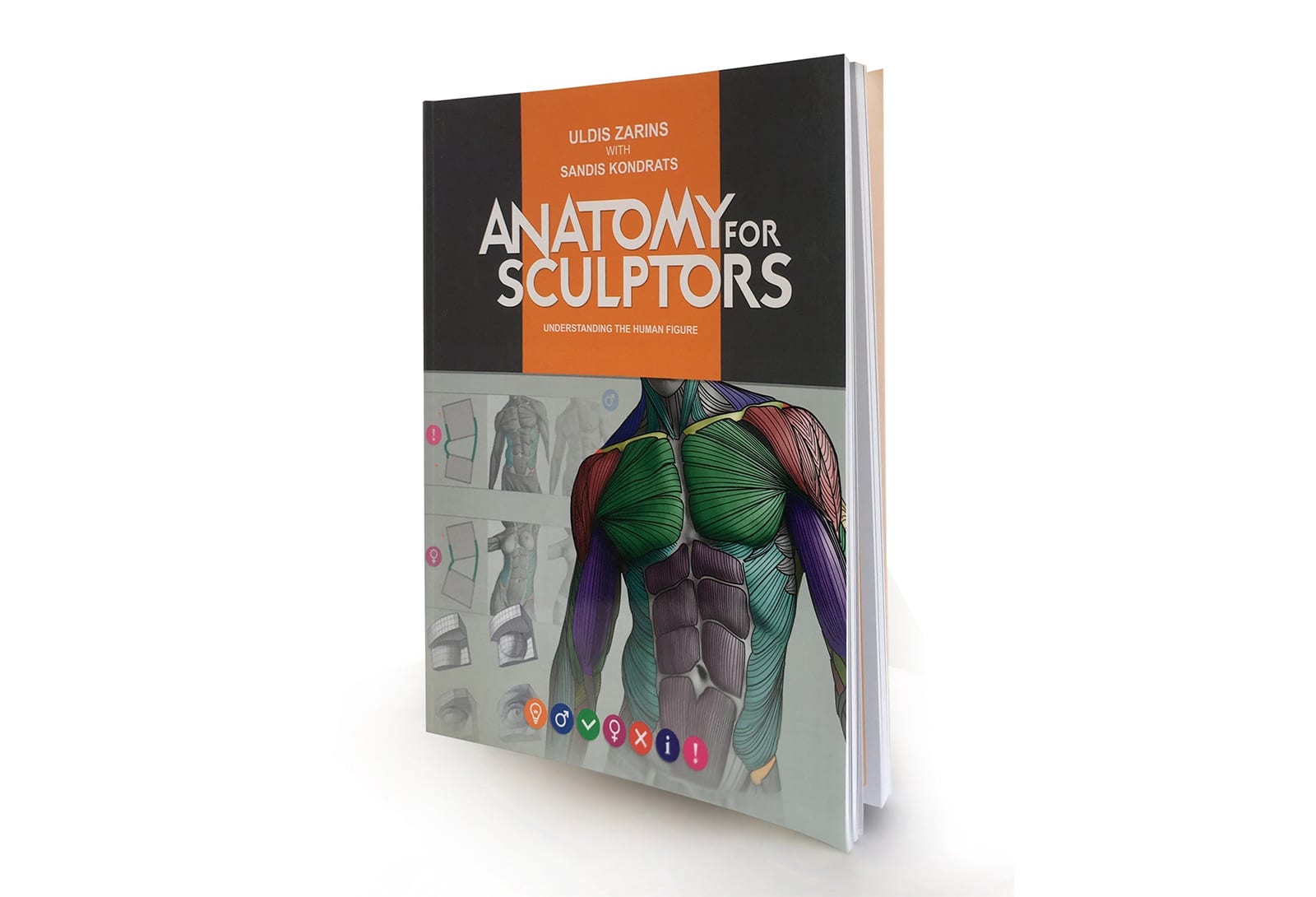 ▷ 5 mejores libros para dibujar anatomía artística ¿Los conocías?