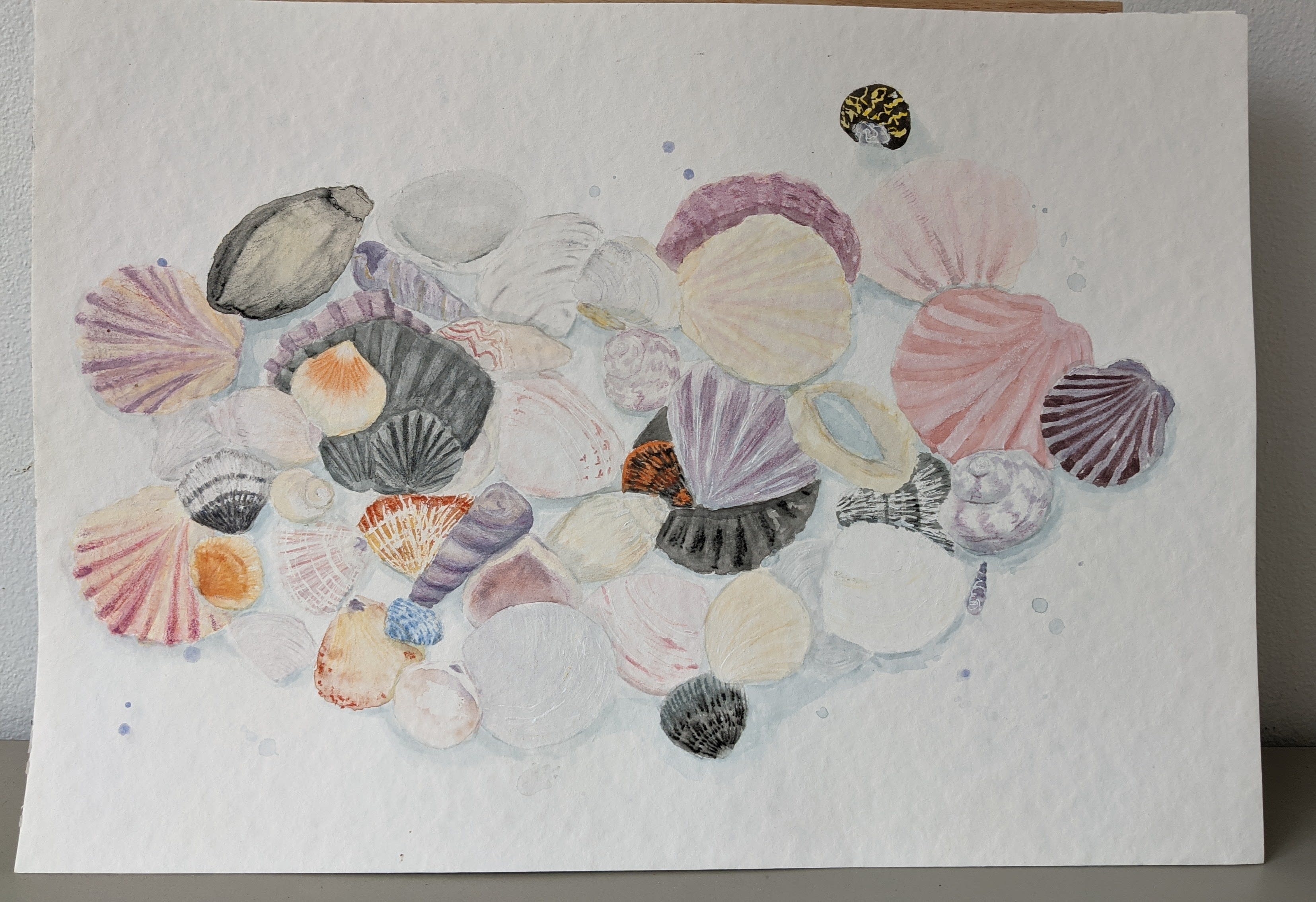 My project in Illustrating Nature: A Creative Exploration course ...