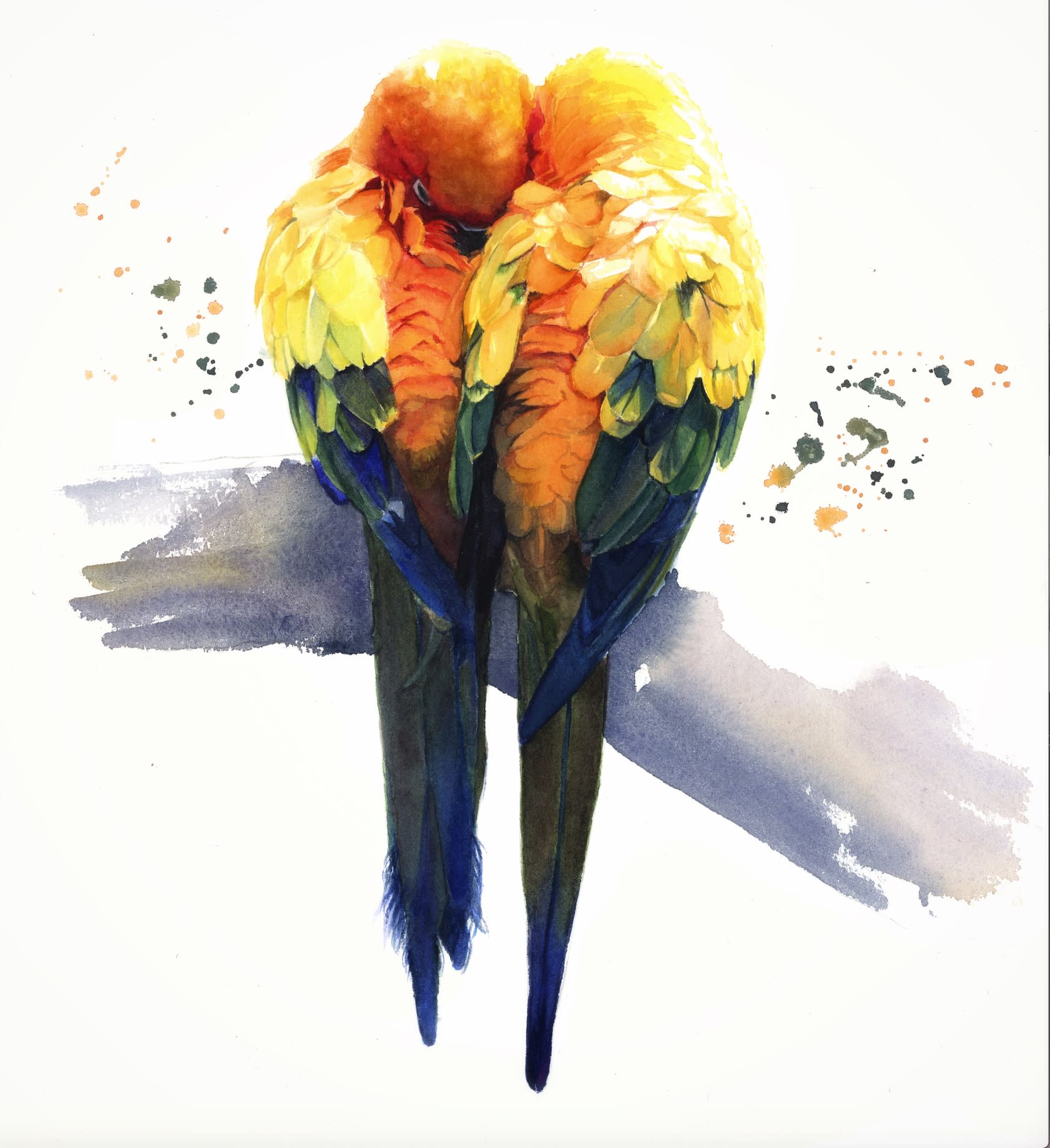 Parrot Picture Drawing Background Images, HD Pictures and Wallpaper For  Free Download | Pngtree