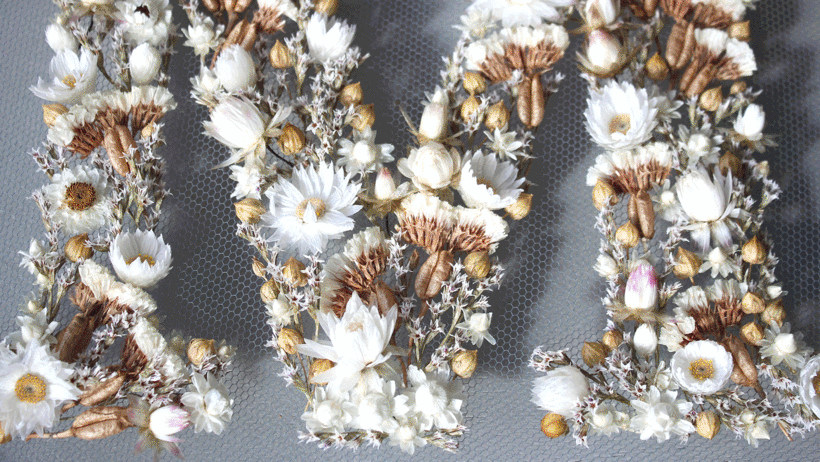 Free Download: A Visual Guide to Dried Flowers for Crafts