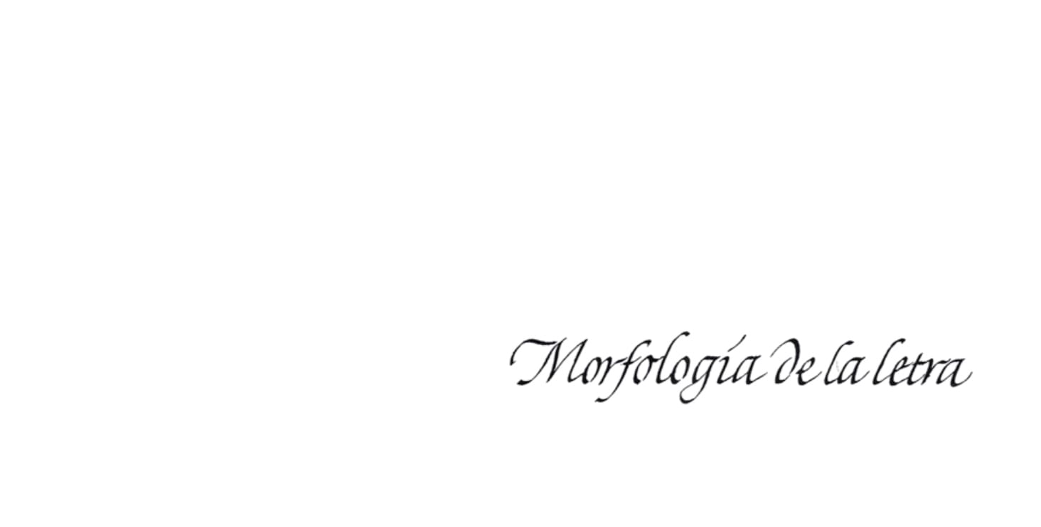 Caligrafía en cursiva imprimible para adultos / Escritura del alfabeto en  cursiva en casa / Plantilla de hoja de trabajo de caligrafía en cursiva /  Práctica de letras en cursiva -  México