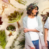 Design and Creation of Botanical Compositions. A Craft course by Compañía Botánica