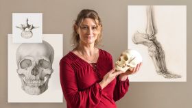 Anatomie zeichnen mit Graphitstift für Anfänger