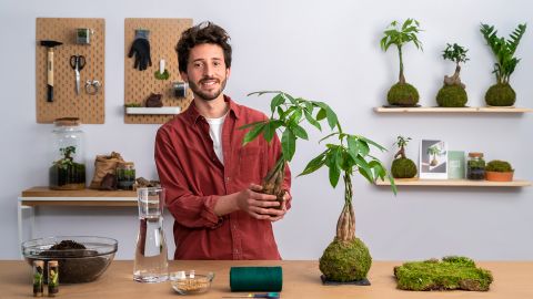 Kokedamas: Create Natural Moss Pots 