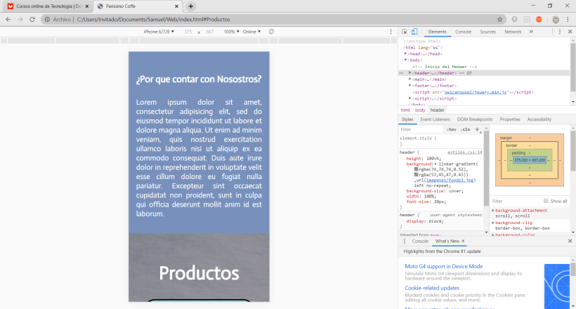 Mi Proyecto del curso: Introducción al Desarrollo Web Responsive con HTML y CSS 7